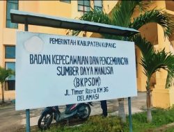Polemik Hasil Seleksi PPPK di Kabupaten Kupang, Kepala BKPSDM: Kami Hanya Ikuti Arahan BKN