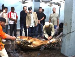 Pemkot Kupang Pastikan Kehalalan Daging di RPH Bimoku, Tambah Dua Juru Sembelih Halal