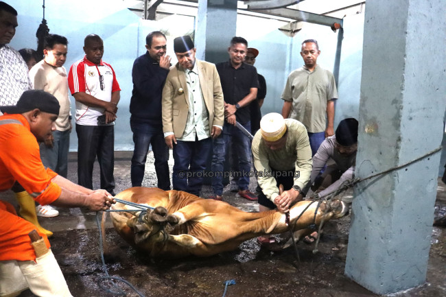 Foto. Pemkot Kupang Pastikan Kehalalan Daging di RPH Bimoku, Tambah Dua Juru Sembelih Halal.