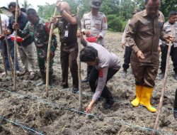 Polres Kupang Gelar Penanaman Jagung Serentak 1 Juta Hektar untuk Dukung Ketahanan Pangan