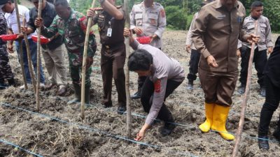 Foto. Polres Kupang Gelar Penanaman Jagung Serentak 1 Juta Hektar untuk Dukung Ketahanan Pangan.