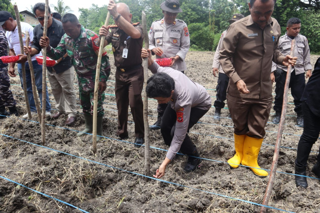 Foto. Polres Kupang Gelar Penanaman Jagung Serentak 1 Juta Hektar untuk Dukung Ketahanan Pangan.