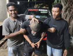 Polisi Berhasil Ungkap Kasus Pencurian Sepeda Motor di Malam Natal: Pelaku Ternyata Kerabat Korban