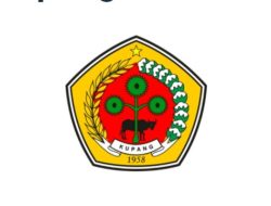 Selamat! Pemerintah Kabupaten Kupang Mengumumkan Hasil Seleksi Tes CPNS Tahun 2024