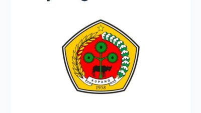 Selamat! Pemerintah Kabupaten Kupang Mengumumkan Hasil Seleksi Tes CPNS Tahun 2024