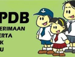 Kabar Baik! Sistem Zonasi Dihapus, Ini Sistem Baru Penerimaan Siswa Baru 2025