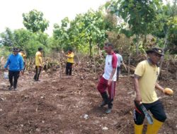 Dukung Swasembada Pangan, Polres Kupang Siapkan 1.472 Hektar Lahan Pertanian