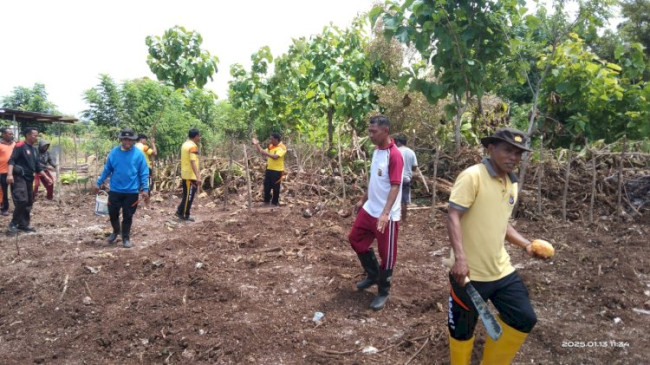 Foto. Dukung Swasembada Pangan, Polres Kupang Siapkan 1.472 Hektar Lahan Pertanian.