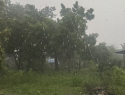 Prospek Cuaca di NTT Belaku Senin Hingga 12 Februari 2025, BMKG: Waspadai Angin Kencang di Wilayah Ini