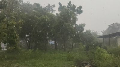 Foto. Prospek Cuaca di NTT Belaku Senin Hingga 12 Februari 2025, BMKG: Waspadai Angin Kencang di Wilayah Ini.