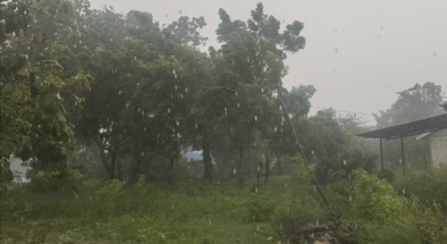 Foto. Prospek Cuaca di NTT Belaku Senin Hingga 12 Februari 2025, BMKG: Waspadai Angin Kencang di Wilayah Ini.