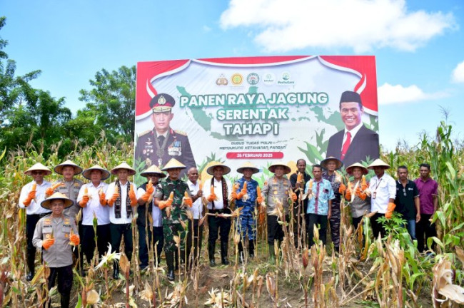 Foto. Kapolda NTT Irjen Pol. Daniel Tahi Monang Silitonga, Pimpin Panen Jagung Seluas 18 Haktare di Kupang.