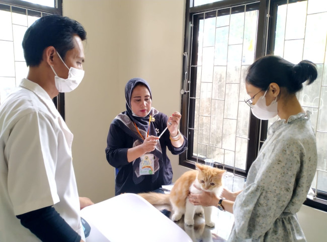 Foto. Kemenkes Ingatkan Waspada Rabies, Kasus Gigitan Hewan Meningkat di tahun 2025.