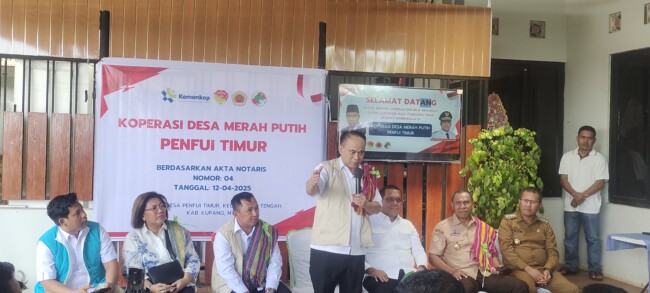 Menteri Budi Arie Setiadi meninjau lahan pertanian milik Koperasi Merah Putih Penfui Timur di Kabupaten Kupang.