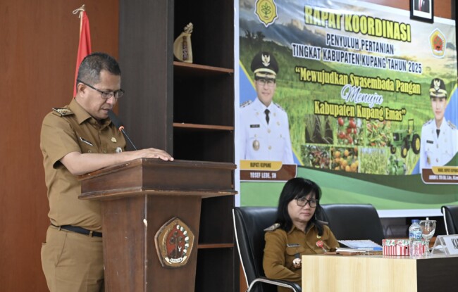 Bupati Kupang Yosef Lede saat membuka Rakor Penyuluh Pertanian di Aula Kantor Bupati Kupang, Oelamasi.
