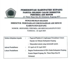 Pemkab Kupang Buka Seleksi Direktur PDAM: Kesempatan Terbuka untuk Internal dan Masyarakat Umum