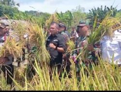 Gebrakan 100 Hari Kerja, Bupati Kupang Kobarkan Semangat Swasembada Pangan dari Ladang Sulamu