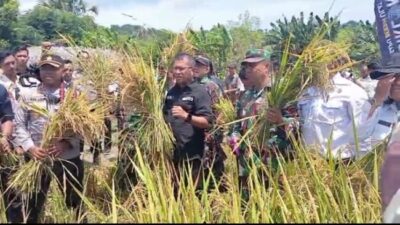Gebrakan 100 Hari Kerja, Bupati Kupang Kobarkan Semangat Swasembada Pangan dari Ladang Sulamu