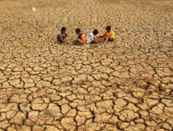 BMKG Prediksi Musim Kemarau 2025 Lebih Singkat, Sumatera dan Kalimantan Alami Anomali Cuaca