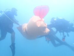 Tragedi di Laut Oeba: Redi Baifeto Ditemukan Tak Bernyawa Usai Tiga Jam Terseret Arus