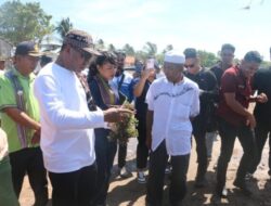 Sulamu Bangkit: Johni Asadoma Tinjau Potensi Rumput Laut, Warga Serukan Laut Adalah Harapan