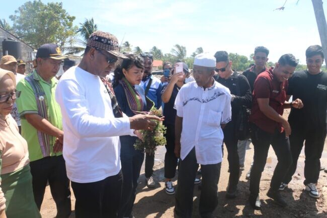 Wakil Gubernur NTT Johni Asadoma meninjau lokasi budidaya rumput laut di Sulamu bersama masyarakat pesisir.