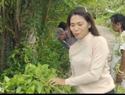 Menuju Kupang Emas, Kelurahan Babau Gencarkan Aksi Bersih-Bersih Setiap Jumat Lawan Penyakit dan Sampah