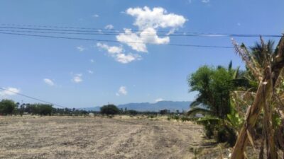 BMKG Kupang Ungkap Penyebab Cuaca Panas Ekstrem di NTT, Waspada Dampaknya Jelang Musim Hujan 11 BMKG Kupang Ungkap Penyebab Cuaca Panas Ekstrem di NTT, Waspada Dampaknya Jelang Musim Hujan.