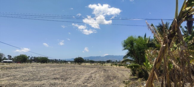 BMKG Kupang Ungkap Penyebab Cuaca Panas Ekstrem di NTT, Waspada Dampaknya Jelang Musim Hujan 1 BMKG Kupang Ungkap Penyebab Cuaca Panas Ekstrem di NTT, Waspada Dampaknya Jelang Musim Hujan.