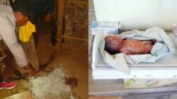 Ibu Rumah Tangga di Kupang Diduga Habisi Bayi yang Baru Dilahirkan, Polisi Dalami Motifnya 7 Ibu Rumah Tangga di Kupang Diduga Habisi Bayi yang Baru Dilahirkan, Polisi Dalami Motifnya.