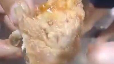 Video Viral Dugaan Daging Berulat dalam Program MBG di SDN Nekon Kabupaten Kupang