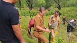 Tanam Harapan di Lereng Rawan Longsor: Bupati Kupang Yosef Lede Pimpin Aksi Hijau di Ika Foti