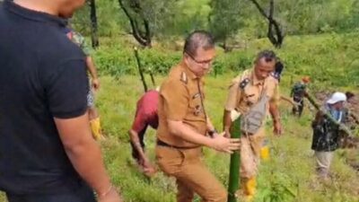 Tanam Harapan di Lereng Rawan Longsor: Bupati Kupang Yosef Lede Pimpin Aksi Hijau di Ika Foti.